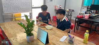 Hoạt động HACA